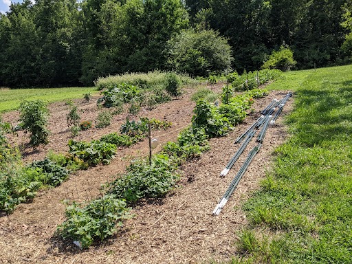 Photo of a large in-ground garden