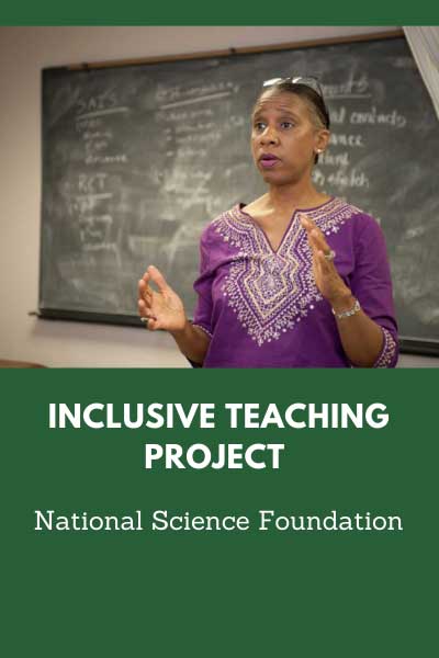 inclusive teaching project by the national science foundation